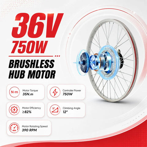 36V 750W brushless hub motor specs with graphics for Upgrade Your Ride With 750W 24 Inch Front Wheel E Bike Hub Motor Conversion Kit