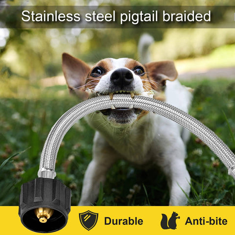 Dog holding a Two Pack 12 Inch Stainless Steel Braided RV Propane Hose For Camper Gas Lines 1/4 NPT Male Inlet With QCC1 Quick Connect Pigtail Connector Durable For Standard Two-Stage Regulators And Outdoor Use in mouth, showing durability and anti-bite feature.