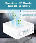 H12 and H13 True HEPA Replacement Filter for IQAir HyperHEPA HealthPro Series shown with air particles