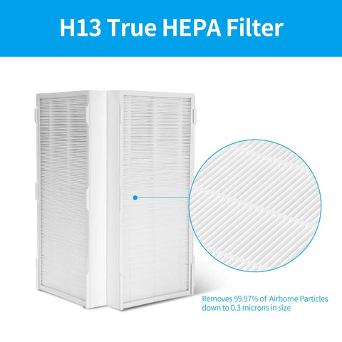 H13 True HEPA filter highlighting fine particle removal for 2-Pack Replacement Filter For CAP-1000FPK Air Purifier With 3-In-1 Filtration