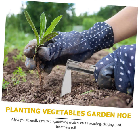Gardener using Stainless Steel Gardening Hoe with Anti Skid Rubber Grip for weeding in vegetable plot, sturdy lightweight tool