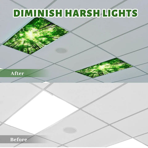 Image comparing a ceiling before and after installing Four Pack 4x2 Feet Fluorescent Light Covers With Magnetic Filters For Classrooms, Offices, Homes And Hospitals Forest Green Decorative Ceiling Shade Easy Snap Fit Keeps Glow Soft And Glare Free, showing reduced glare and soft lighting effect in forest green.
