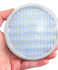 Hand holding PAR36 LED Landscape Bulb 10W 1150LM 3000K Warm White, water-resistant for outdoor landscape lighting, six-pack