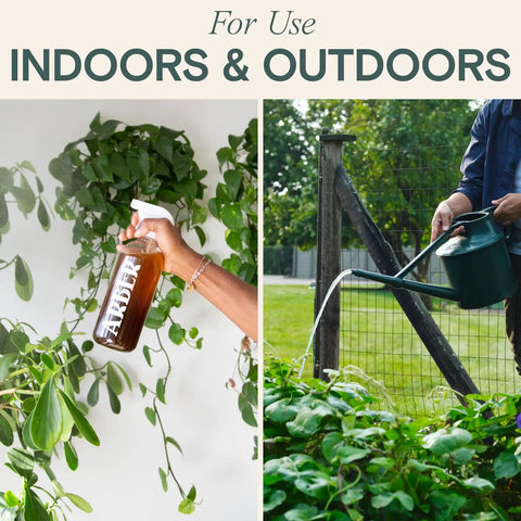 All Natural Insect And Fungicide For Plants Indoor And Outdoor Protection Against Powdery Mildew Spider Mites Aphids Whiteflies And Fungus Gnats Safe For Vegetables And Lawns Concentrate Spray 16 Oz shown in use on houseplants and gardens