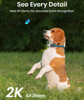 Beagle in grass captured by 2K Add-On Camera For WirelessCam And SolarCam, Works With aosuBase, Night Vision with Spotlight