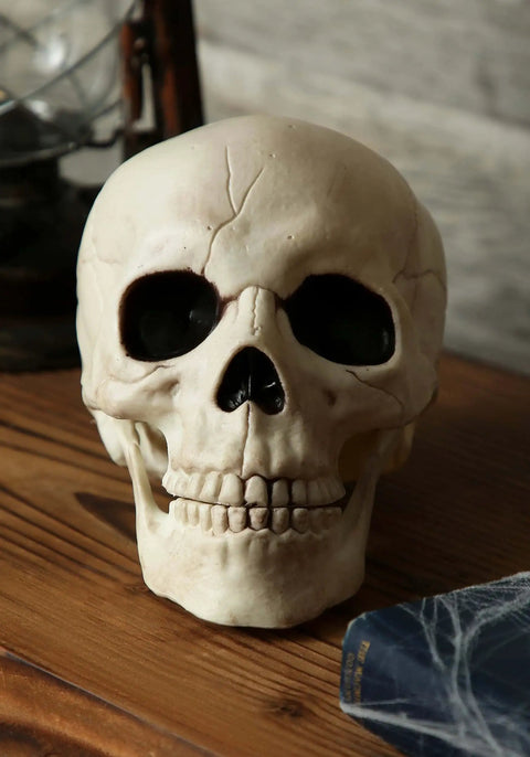Six Inch Realistic Skeleton Skull Prop With Movable Jaw Made From All Weather Plastic Ideal For Halloween Decor Closeup