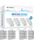 Pack of 24 replacement charcoal water filters for coffee machines that remove chlorine odors and impurities to level up your brew taste and aroma for rich home brewed coffee easy 30 day replacement displayed with packaging