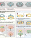 Step-by-step guide for retrofitting recessed lighting using a conversion kit for 5 or 6 inch fixtures.