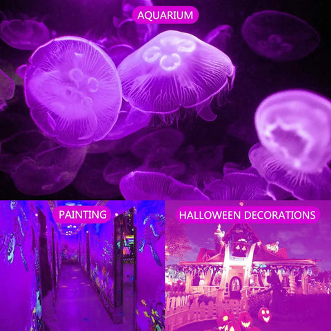 Aquarium jellyfish and glowing Halloween decorations lit by 60W LED Black Light Flood Light With Plug And 6ft Cord, Two Pack