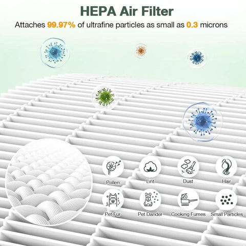 2 Pack TP04 HP04 DP04 Replacement HEPA Filter With Easy Install, capturing particles like pollen and pet fur at 0.3 microns