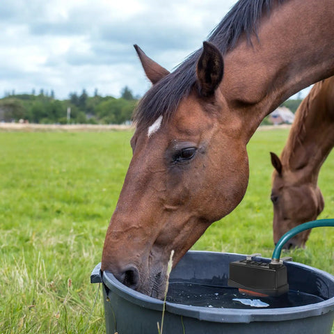 Horse drinking from stock tank with Automatic Stock Tank Float Valve For Livestock Waterer Trough With Safe Auto Water Level Control No More Night Checks Prevents Overfill And Flooding Easy Farm Water Management For Ranch Barn Yard.