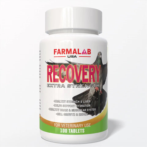 Bottle of Extra Strength Pigeon Recovery Supplement With Electrolytes And Vitamins For Training And Race Day 100 Tablets