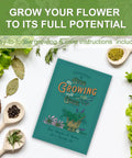 All In One Kitchen Windowsill Herb Garden Starter Kit That Makes Growing Basil Parsley Rosemary Thyme Mint A Breeze guidebook