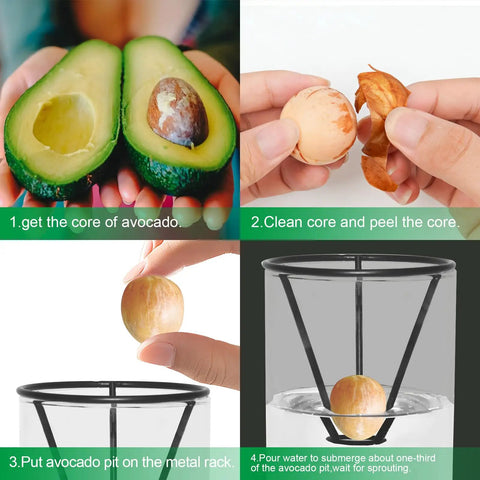 All-In-One Avocado Seed Starter Kit With Glass Vase, Bamboo Base, Rustproof Metal Stand, Cleaning Brush And Decorative Avocado Ornament No Seed Included, Easy Germination In 1 To 2 Months, Totally Giftable For Plant Lovers On Your Desk Or Home Garden