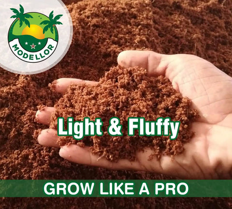 Hand holding fluffy growing medium from Four 1.25 Lb Coco Coir Bricks Expand To Nine Gallons, Ultra-Pure No-Rinse Seed Starter Mix