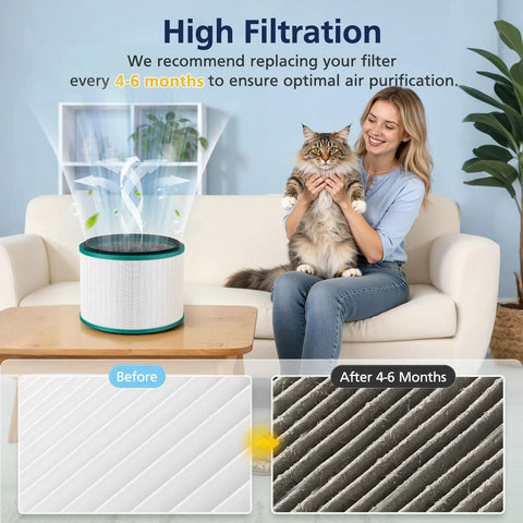 Two Pack HP01 HP02 HEPA Filter For Hot Cool Link HP01 HP02 And Pure Cool Link Desk Fans DP01 DP02, before and after use