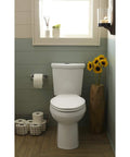 No Brainer Dual Flush Toilet Tank For 12-Inch Rough-In With 0.92 GPF Light Flush Or 1.28 GPF Full Flush, WaterSense Certified