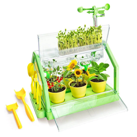 Kids Plant Growing Kit with Indoor Greenhouse and Hydroponic System, Thermometer, Wind Vane and Tools, Educational STEM Garden Set