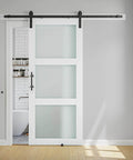 Front view of 38 X 84 Inch Three Lite Frosted Glass and Wood Paneled Barn Door With Installation Hardware Kit in modern interior.
