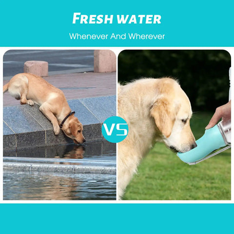 Leak Proof Dog Water Bottle For Outdoors vs drinking from pond, portable puppy dispenser for hikes, food grade plastic, blue