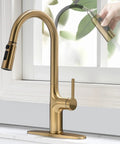 Smooth Operator Brushed Gold Kitchen Faucet With Sleek Single Handle And Slick Pull Down Sprayer For Zero Hassle Cleaning Featuring Splash Proof Three Way Spray For Quick One Or Three Hole Install, showcasing brushed gold finish and flexible spout.