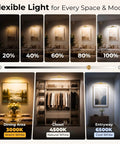 Gold Wireless Picture Lights For Wall Art 2 Pack Rechargeable Wall Spots With Led Battery Screen Dimmable Gallery Bulbs showing flexible light levels.
