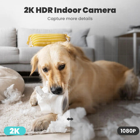 Pet dog chewing toy in front of 2K Indoor Security Camera with 360 Degree Pan Tilt Motion Alerts, showcasing its monitoring use.