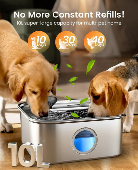 Large Dog Water Fountain 10L Stainless Steel Automatic Water Dispenser with dogs drinking, clear water window, and leaves decoration.