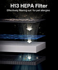 Diagram showing layers of H13 HEPA filter of Large Pet Air Purifier For Homes Up To 4200 Sq Ft with Anion and Activated Carbon, App Control