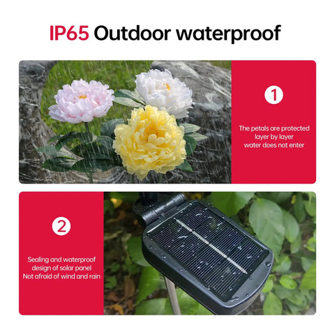 Outdoor Solar Garden Lights Set Featuring Realistic Peony Flower Heads Waterproof Design Bigger Solar Panel And 3 Pack