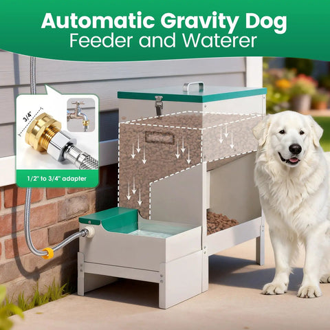 No Sweat Elevated Dog Feeding Station With Heavy Duty Metal Gravity Bowl And Six Liter Automatic Water Dispenser For Active Doggos Up To Fifty Pounds Always next to a dog.