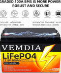 Beefy 12V 100Ah LiFePO4 Battery With Built In 100A BMS For RVs Solar Wind And Home Power Group 31 Deep Cycle Rechargeable Battery