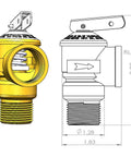 3/4-Inch IPS Lead Free Isolator For Tankless Water Heaters Kit With Full Port Brass Ball Valves, Adjustable Pressure Relief Valve