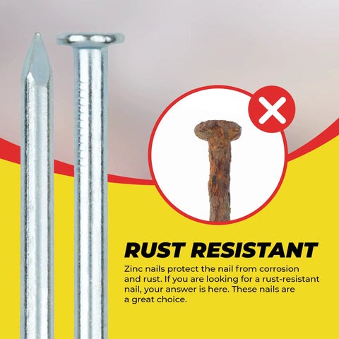 Rust-resistant nails from Ultimate Nail Assortment Kit With Over 1800 Multipurpose Nails In 11 Sizes Non Bendable And Sturdy Compact Organizer