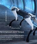 Lite 3 Basic AI Quadruped Robot Platform For Robotics Developers And Researchers Featuring Dope Mobility And AI Driven Motion Control For Algorithm Testing And Real World Robotic Application Development, 61cm robot on stairs