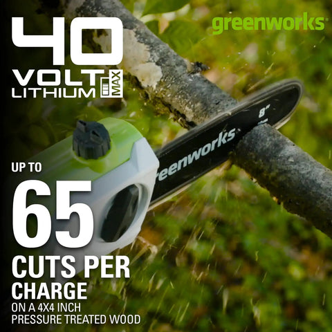 40V Polesaw and Hedge Trimmer Combo With 8-Inch Bar cutting tree branch