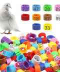 100 Pack 8mm Colorful Readable Leg Bands For Baby Chick And Small Birds, Clip On Identification Rings With Numbers 0 To 100, Great For Pigeons Quail Bantam Finch Dove Poultry, assorted colors and a bird wearing a band.