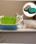 Hydroponic Cat Grass Planter Set Dual Pack For Easy Maintenance Catnip Plant Box Practical Cat Supplies For Indoor Cats Self Watering Mess Free Design Perfect Home Garden Kit, blue tray with cat grass
