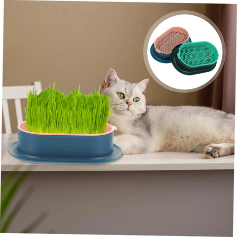 Hydroponic Cat Grass Planter Set Dual Pack For Easy Maintenance Catnip Plant Box Practical Cat Supplies For Indoor Cats Self Watering Mess Free Design Perfect Home Garden Kit, blue tray with cat grass