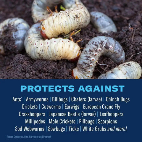 Close-up of grubs in soil with list of pests controlled by 24 Hour Grub Killer Plus Granules For Lawns Kills Grubs Ticks Listed Pests Fast