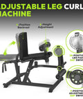 Dual Mode Leg Extension And Curl Machine For Home Gym showing adjustable backrest and swivel leg pad