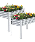 2 Pack Galvanized Raised Garden Beds With Legs 48 Inch By 24 Inch By 32 Inch Outdoor Planter Box With Drainage Holes