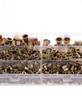 Heavy Duty Rivet Nuts Kit Bulk Pack 500 Pcs Threaded Inserts M3 M4 M5 M6 M8 M10 Galvanized Steel Box for DIY projects