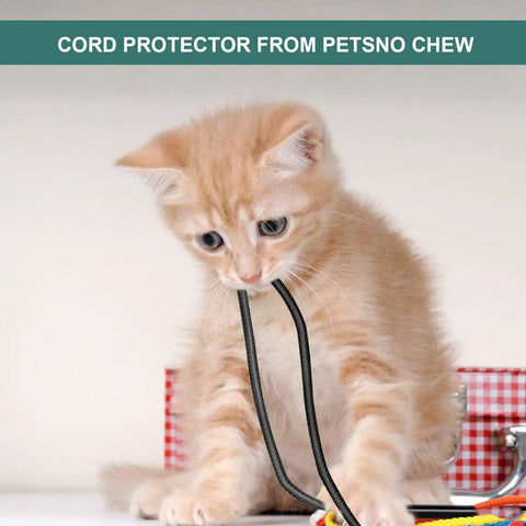 Kitten with 300 Ft Braided Wire Loom Kit In Quarter Inch, Half Inch, And Three Eighths Inch Diameters PET Cable Sleeving