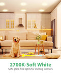12 Pack Br30 LED Recessed Light Bulbs Dimmable Can Lights Soft White 2700K 650 Lumens E26 in cozy living room with dog.
