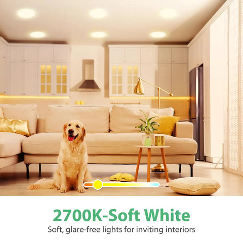 12 Pack Br30 LED Recessed Light Bulbs Dimmable Can Lights Soft White 2700K 650 Lumens E26 in cozy living room with dog.