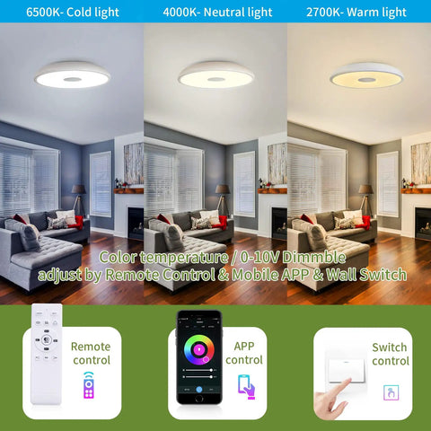 Smart Waterproof LED Flush Mount Ceiling Light With Bluetooth Speaker, 11 Inch 18W RGB Color Changing in living room