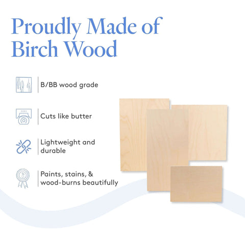 Baltic Birch plywood sheets, three pieces, 12 x 24 inches, 1/4 inch thick, B/BB grade, light natural wood.