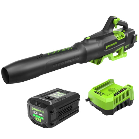 80V Cordless Leaf Blower With Brushless Motor, 700 CFM At 170 MPH Turbo, battery, and rapid charger set