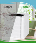 Blue Pure 211 Plus True HEPA Replacement Filter 2 Pack showing air purification before and after in living room setting